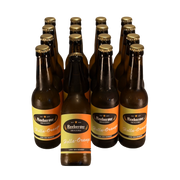 Holla-Orange 16er Karton